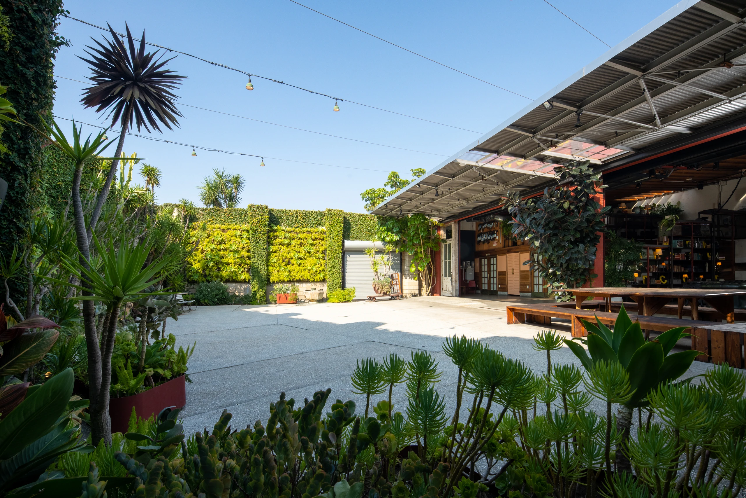 SmogShoppe’s open courtyard and Grand Hall beneath daytime string lights