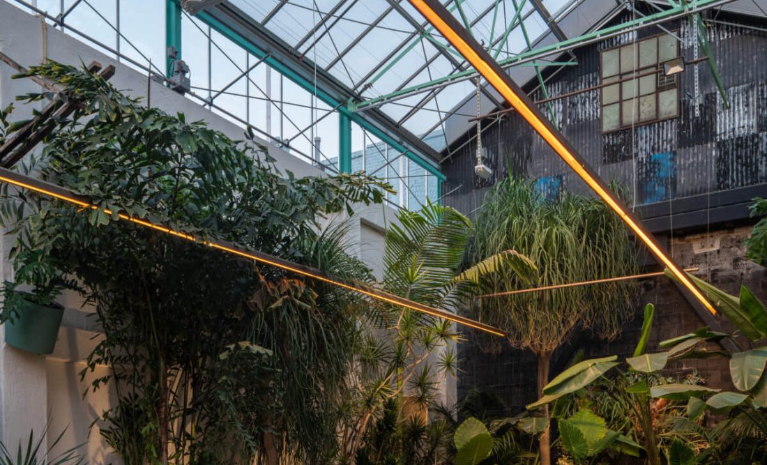 Towering birds of paradise and ponytail palms create an urban oasis in the heart of Downtown LA’s North Sea neighborhood.