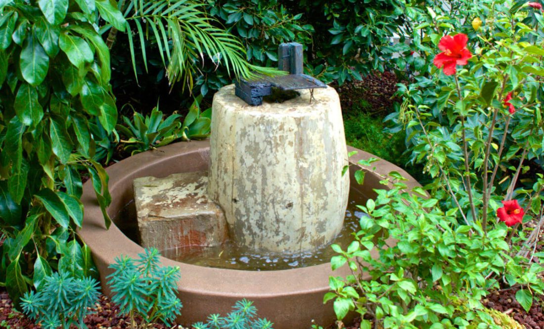Tucked into lush foliage, a babbling fountain adds tranquil ambiance to the Courtyard.