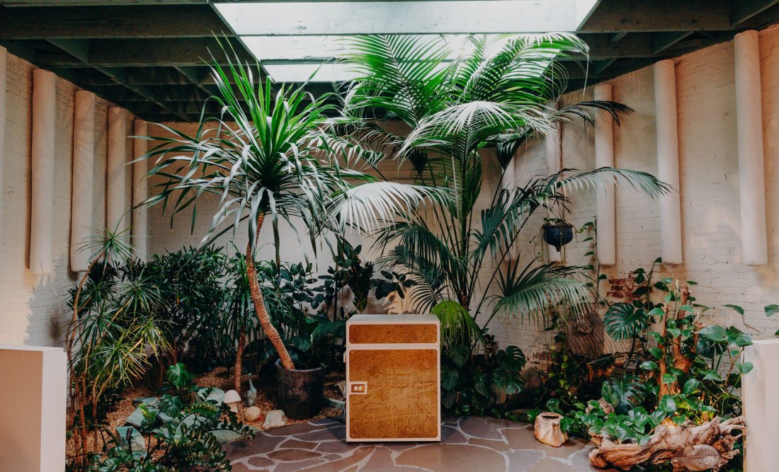 A burbling fountain is tucked away in Flora Chang’s indoor garden that’s bathed with natural light streaming in from the skylights overhead.